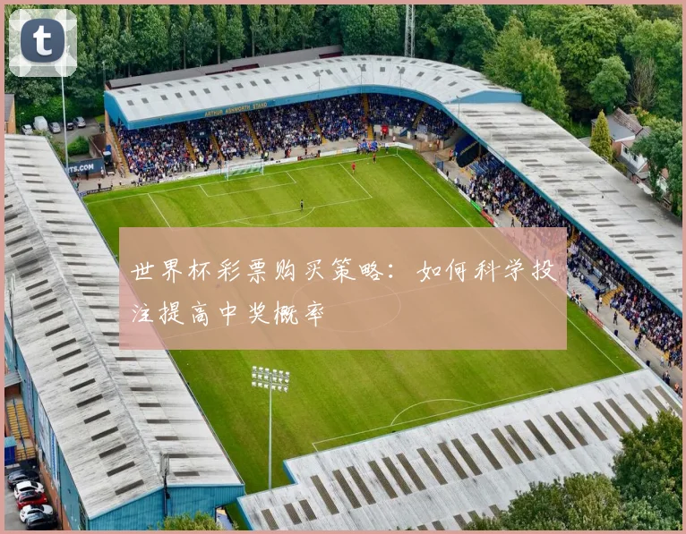 世界杯彩票购买策略：如何科学投注提高中奖概率