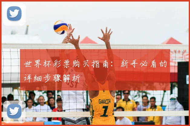 世界杯彩票购买指南:新手必看的详细步骤解析