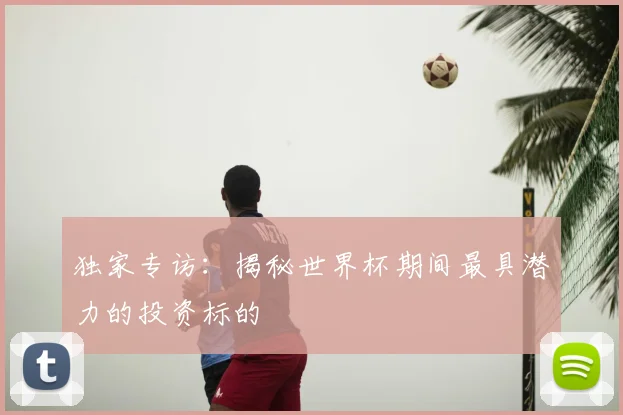 独家专访:揭秘世界杯期间最具潜力的投资标的